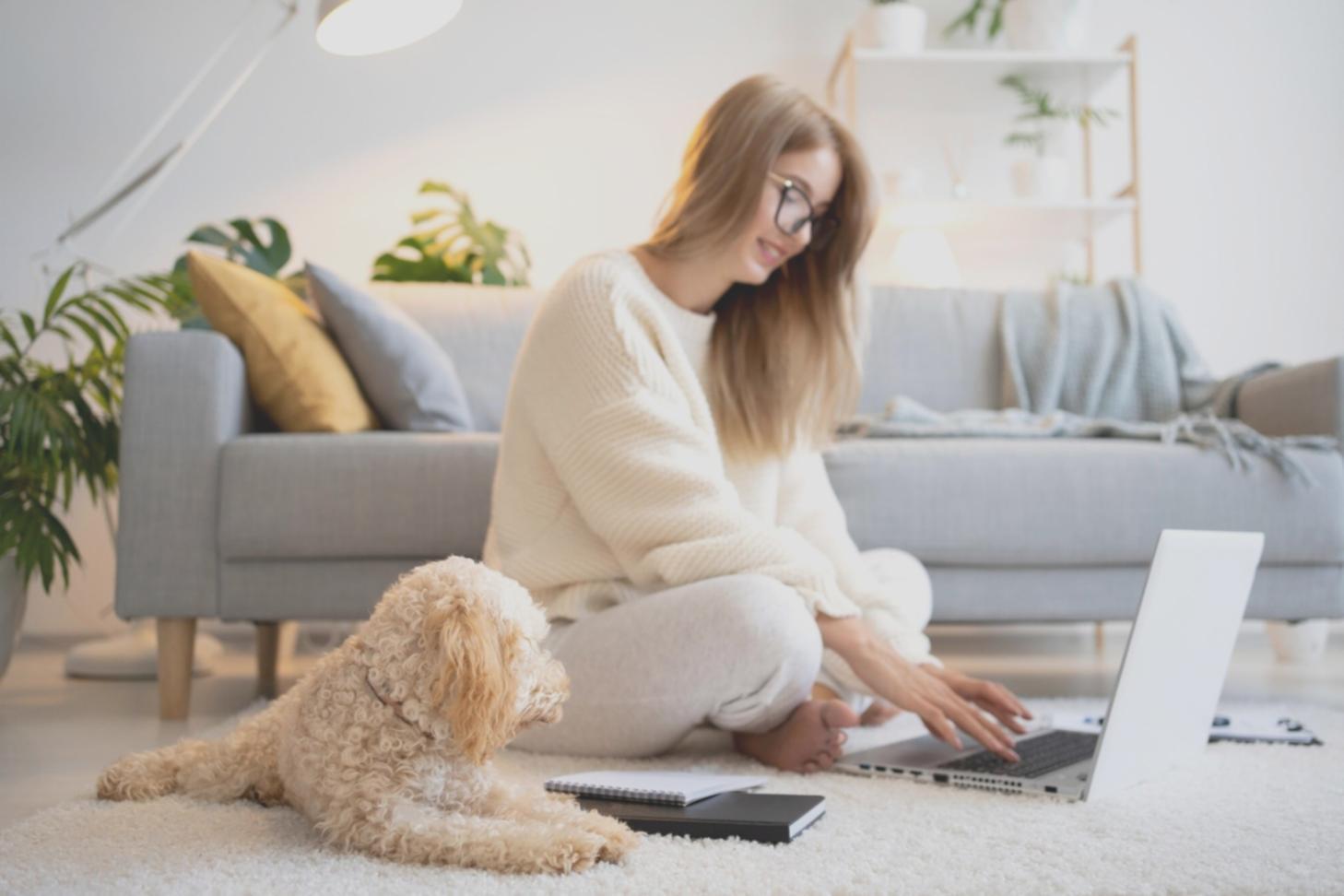 Musikvideo-Schnitt mit kreativen Effekten